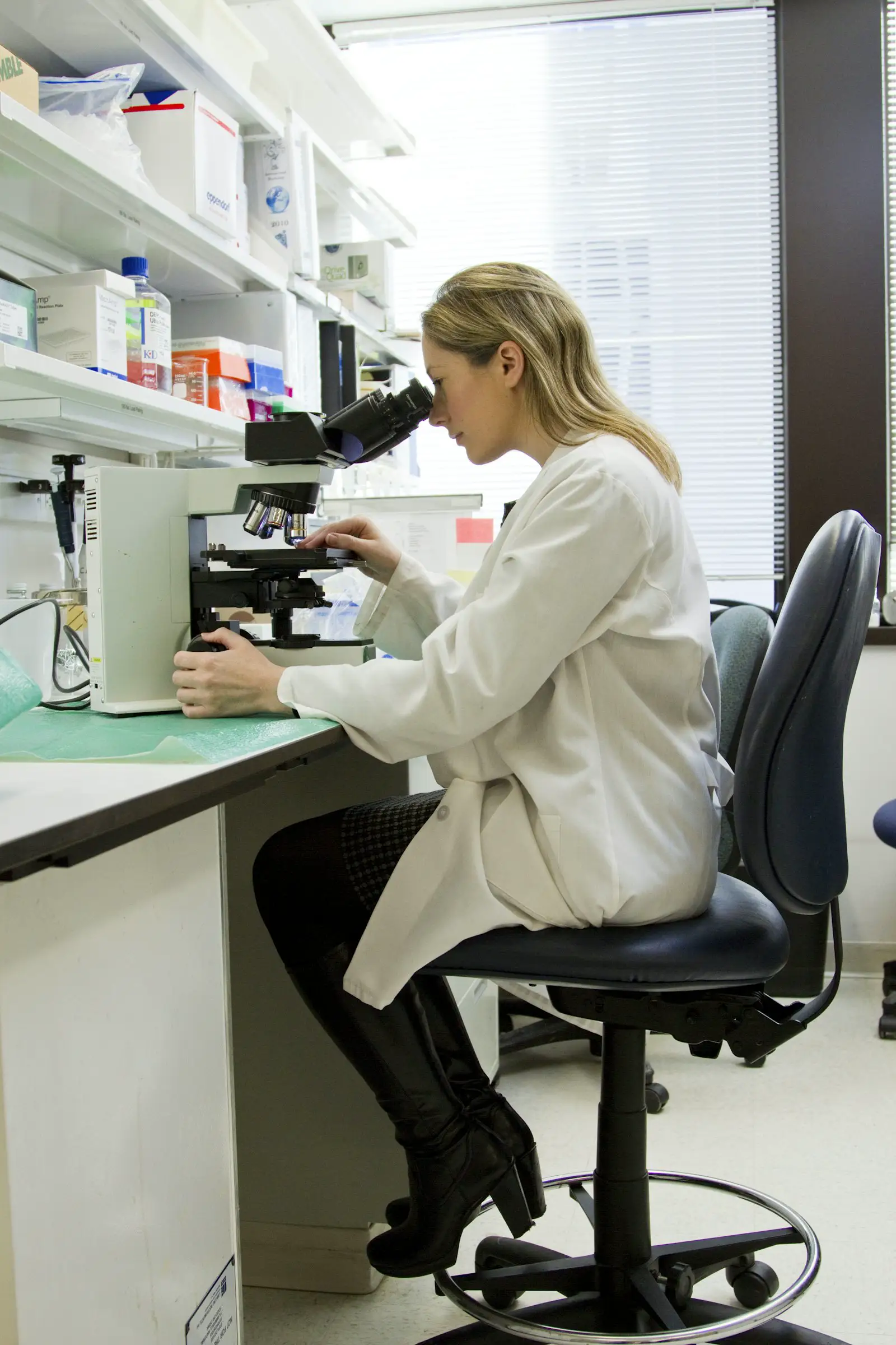 A clinical workbench with a microscope